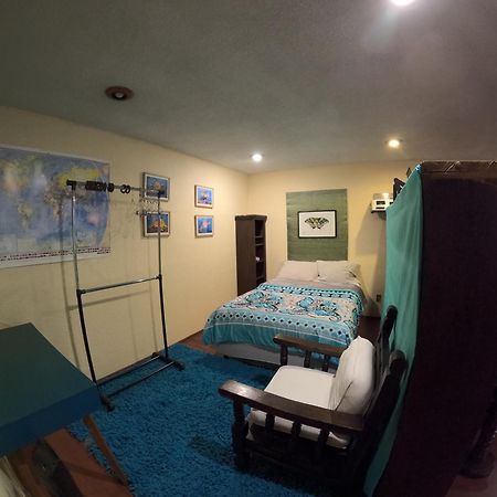 Neighbor Of Frida Khalo, Vintage Stay In Coyoacan Mexico-stad Buitenkant foto
