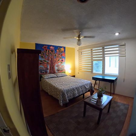Neighbor Of Frida Khalo, Vintage Stay In Coyoacan Mexico-stad Buitenkant foto