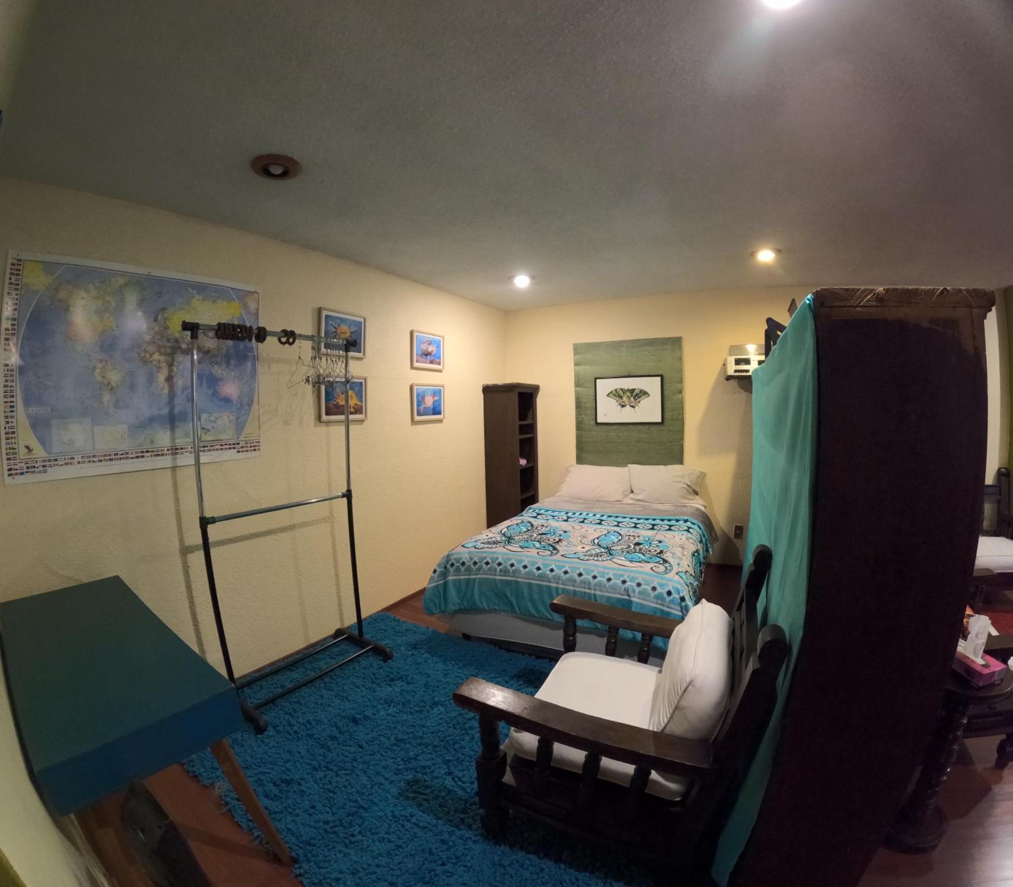 Neighbor Of Frida Khalo, Vintage Stay In Coyoacan Mexico-stad Buitenkant foto