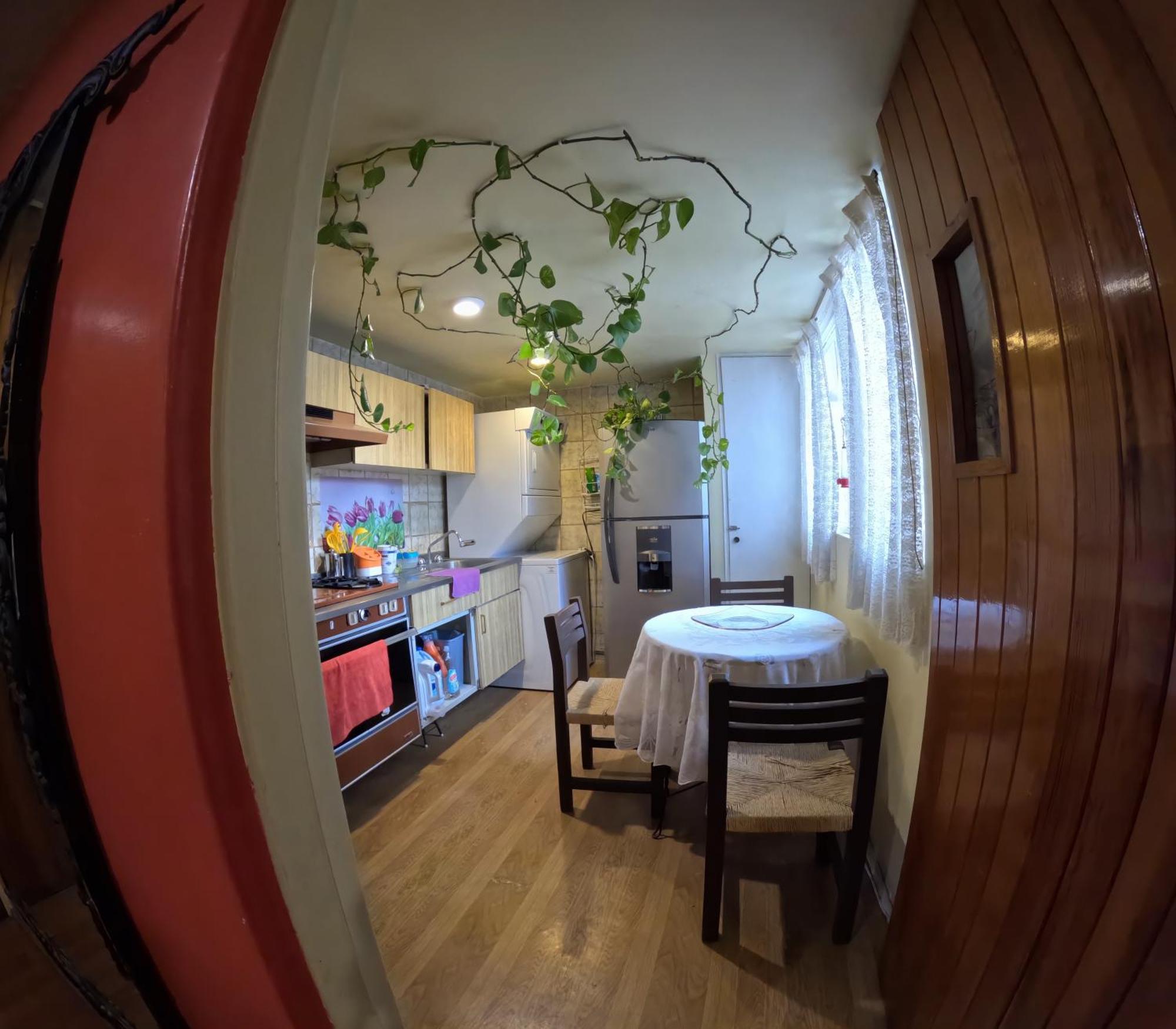 Neighbor Of Frida Khalo, Vintage Stay In Coyoacan Mexico-stad Buitenkant foto