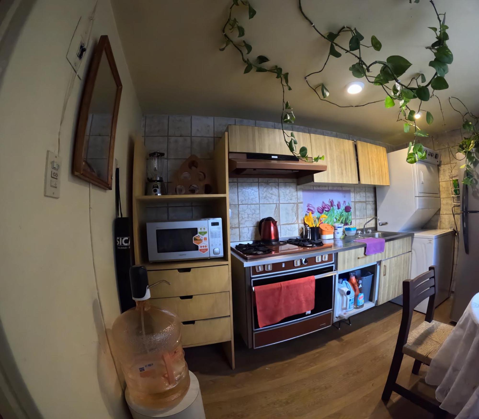 Neighbor Of Frida Khalo, Vintage Stay In Coyoacan Mexico-stad Buitenkant foto