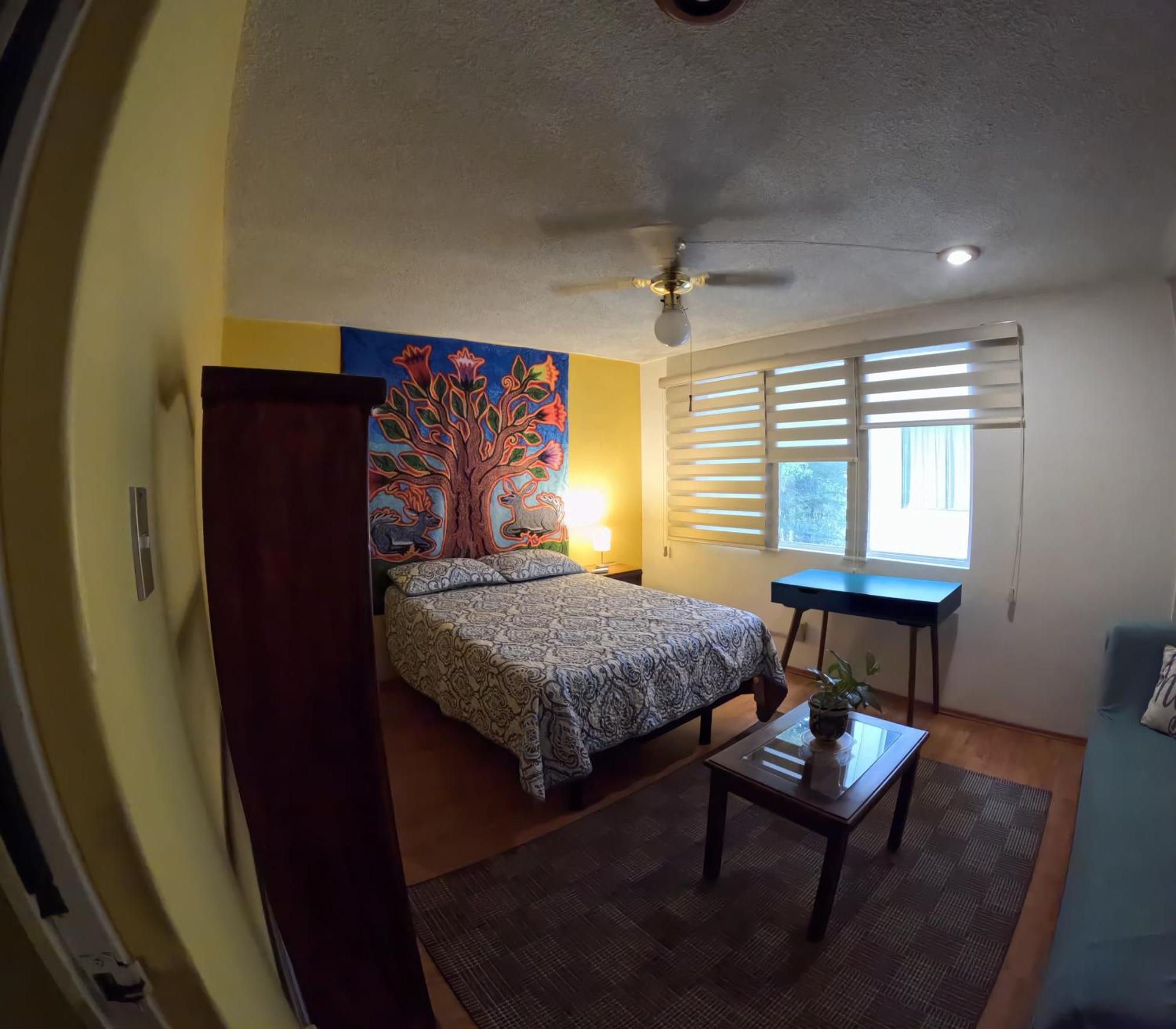 Neighbor Of Frida Khalo, Vintage Stay In Coyoacan Mexico-stad Buitenkant foto